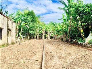 Đất điện bàn 150m2 sổ sẵn giá chỉ 6xxtr