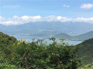 Cần bán gấp 6 ha đất ninh phú  tx ninh hoà  tỉnh khánh hoà chưa qua đầu tư