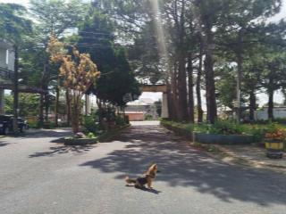 Bán biệt thự trung tâm tp bảo lộc, diện tích 280,6m2