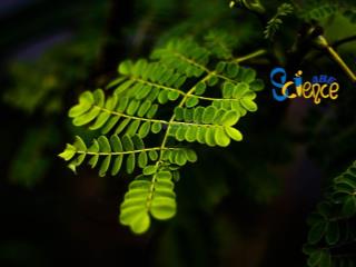 Bán đất dự án hệ sinh thái abe group đầu tư cho khoa học tái tạo đầu tư cho nhân loại