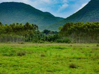 Bán đất hệ sinh thái abe group sở hữu sức khoẻ và tương lai chỉ với 5.000.000 vnđ/m2