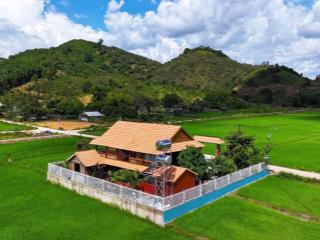 Bán căn nhà gỗ đẹp, vị trí gần trung tâm xã, thanh khoản tốt