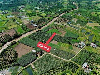 Bán đất sào giáp sông đường bê tông, khu dân cư tại eakar, đắk lắk