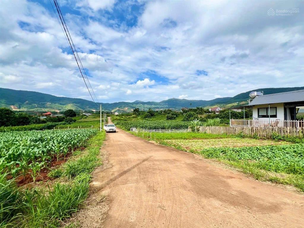 Bán lô đất tại nam banven đà lạt 127m2 chỉ 599triệu