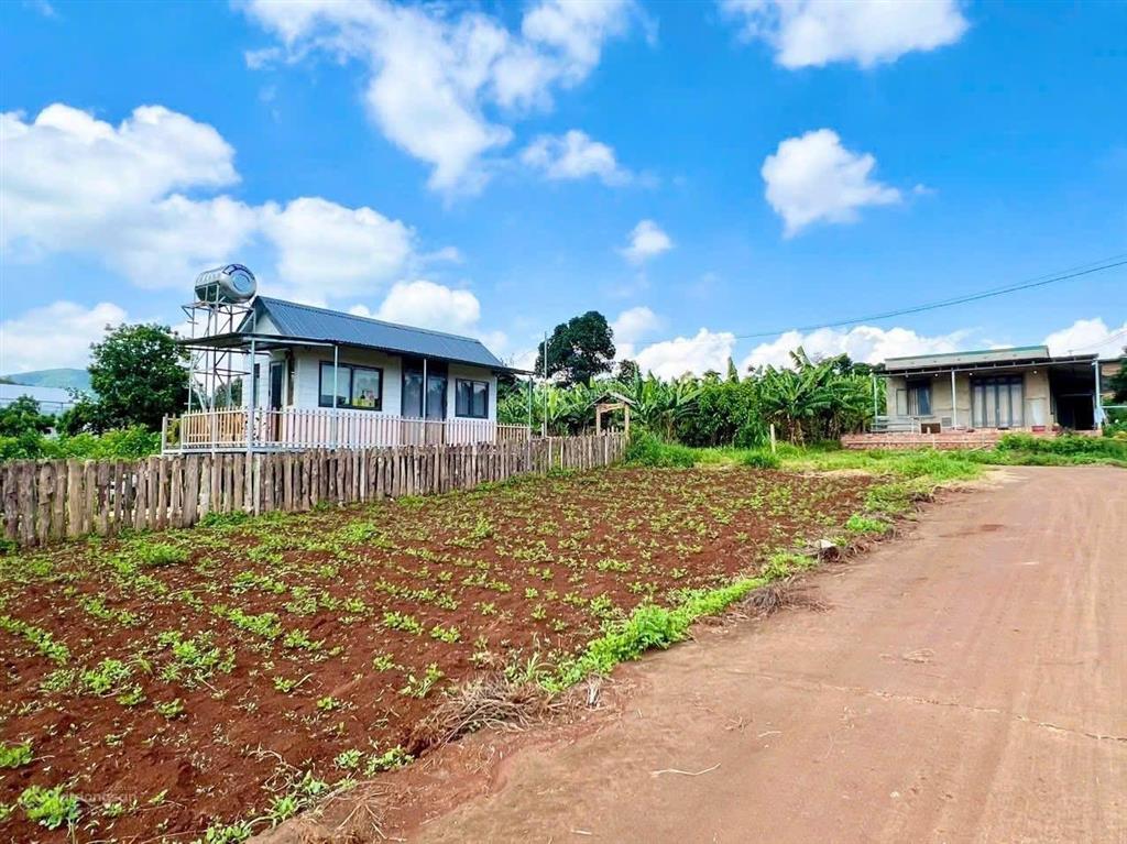 Bán lô đất tại nam banven đà lạt 127m2 chỉ 599triệu