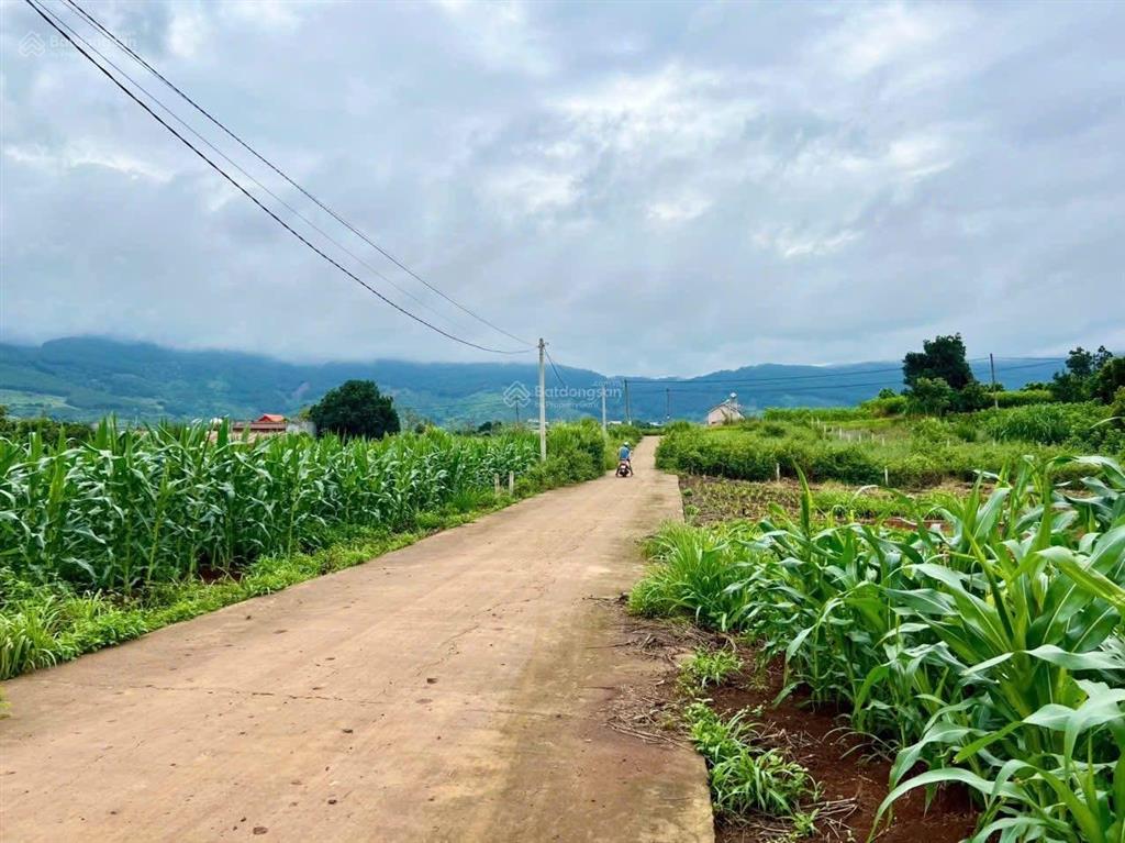 Bán lô đất tại nam banven đà lạt 127m2 chỉ 599triệu