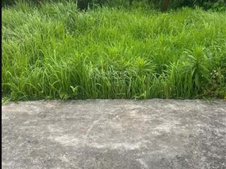 Bán đất đẹp đường bắc sơn, phường hòa an, quận cẩm lệ, đà nẵng. bao giá