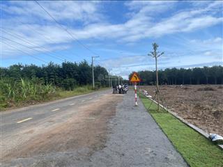 Chính chủ bán đất khu du lịch rừng dừa bẩy mẫu hội an