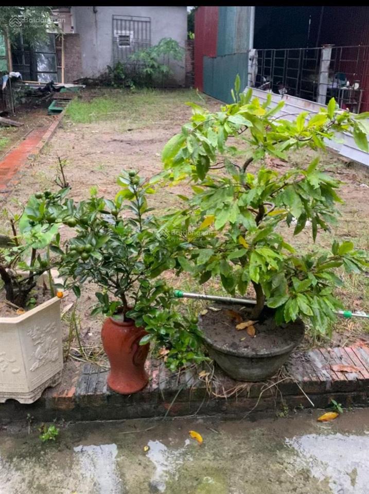 Bán đất tại nguyên khê, đông anh, hà nội, 64,17 triệu, 60m2 đẹp xuất sắc chỉ với