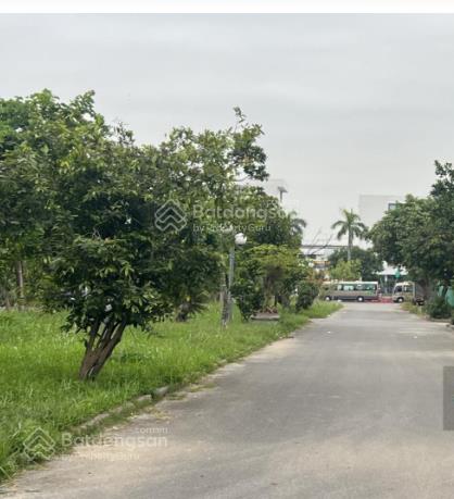 Chủ gửi bán đất khu du lịch rừng dừa bẩy mẫu hội an