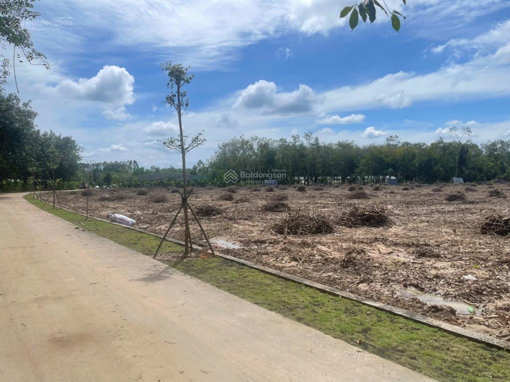 Chủ gửi bán đất khu du lịch rừng dừa bẩy mẫu hội an