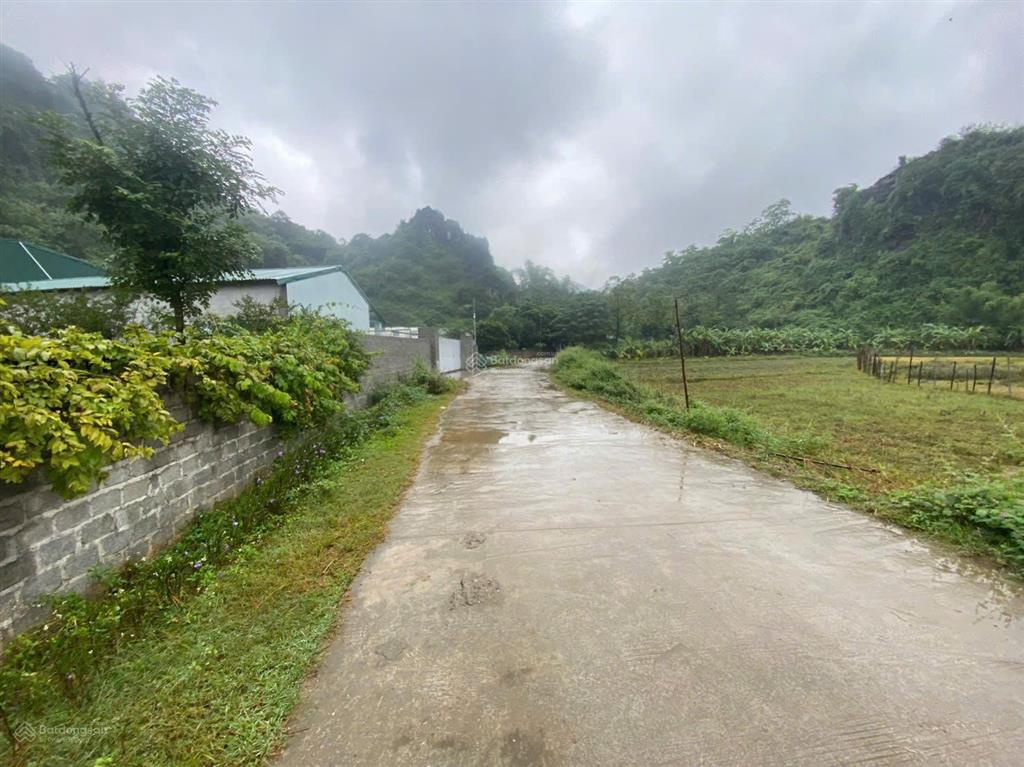 Chủ gửi bán đất khu du lịch rừng dừa bẩy mẫu hội an