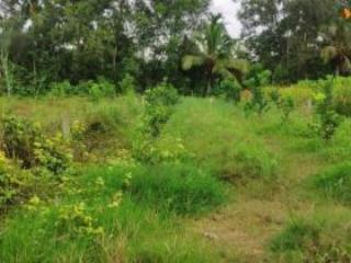 Bán lô đất view mặt tiền đường hội bài vị trí vàng đẹp nhất nhì bà rịa vũng tàu