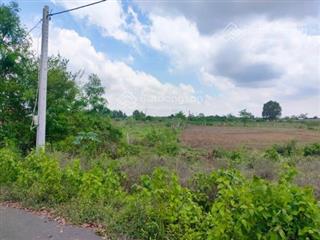 Lô đất 5421m² mặt tiền hội bài  châu pha  brvt