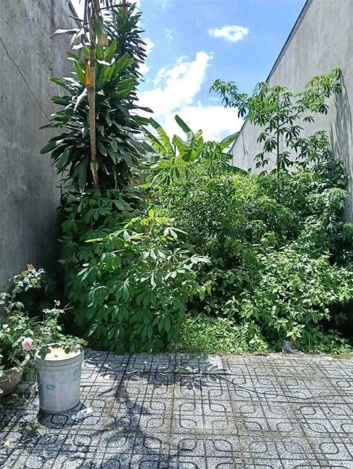 Cần bán nhanh nền mặt tiền đường trần thị nhượng, phường 4  cao lãnh