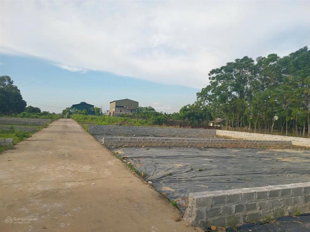 Bán đất 21a, phú cát, quốc oai, hà nội, 2,222 tỷ, 115m2, hot!