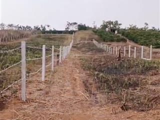 Bán đất chính chủ giá rẻ cho ace có nhu cầu mua làm farm nghỉ dưỡng / đầu tư ngay trung tâm pleiku