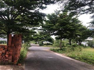 Bán đất thung lũng xanh cơ hội đầu tư sinh lời cao