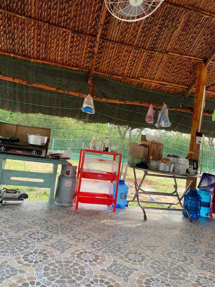 Bán nhà vườn thái mỹkhu dân cư có view kênh phước hoà đẹp 954m2(24x37)300m2 thổ cư.giá 2 tỷ200