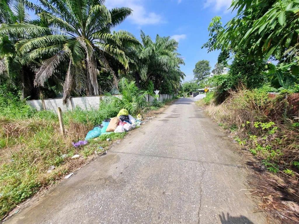 Đất 1/ nguyễn thị rành, xã nhuận đức  củ chi, dt 117m2, đất ở hiện hữu. giá 1 tỷ 300 triệu
