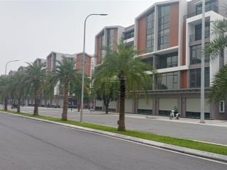 Nhà giá rẻ view công viên vin wonder ocean city