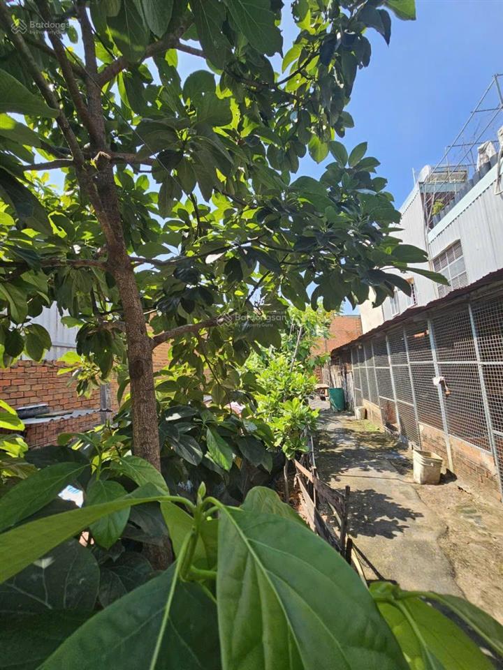 Nhà vườn 513m2, ô tô thông mọi hướng đông thạnh  hóc môn, chỉ 9,9 tỷ