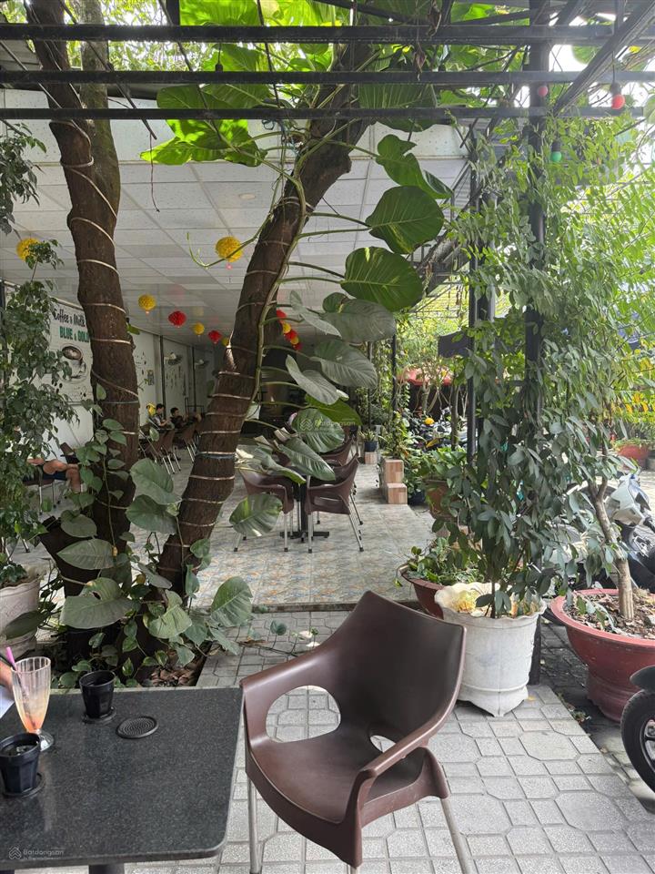 Mặt tiền kinh doanh đường nam cao quận 9, 500 m giá chỉ 14,95 tỷ