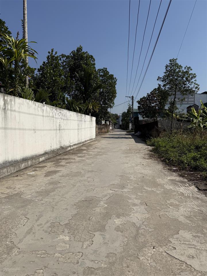 Bán đất an mỹ vị trí đẹp dt 56,5m full thổ cư