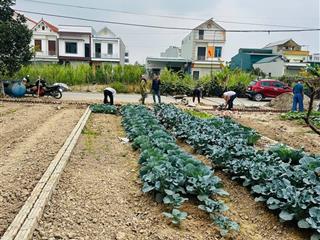 Cơ hội vàng mua đất liền kề vsip cẩm giàng hải dương