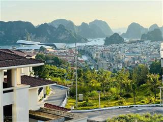 Gấp! cần bán cắt lỗ biệt thự flc hạ long view chính diện biển 300m2