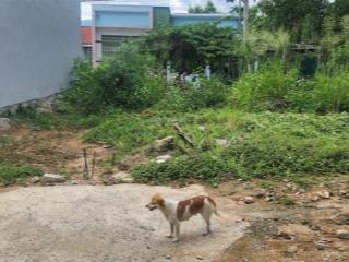 Hàng hiếm giá đầu tư tại hẻm thái khang, phước đồng nha trang khánh hòa