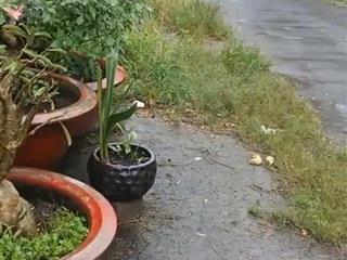 Bán đất mặt tiền đường thạnh thới vị trí vàng để đầu tư