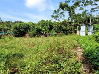 Đón đầu qh  hơn 8000m2  1000m2 đất ở  mặt tiền thênh thang  chỉ hơn 2tr/m2