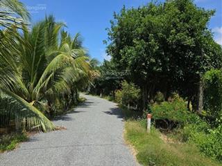 Bán trang trại, khu nghỉ dưỡng tại mỹ thạnh đông, đức huệ, long an, giá thỏa thuận, 12.000m2