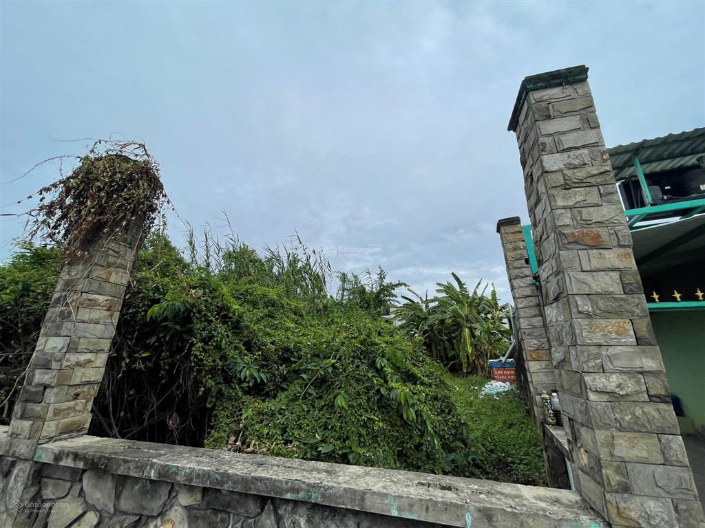 Bán đất tại tân định, bến cát, bình dương, giá thỏa thuận, 4.700 m2