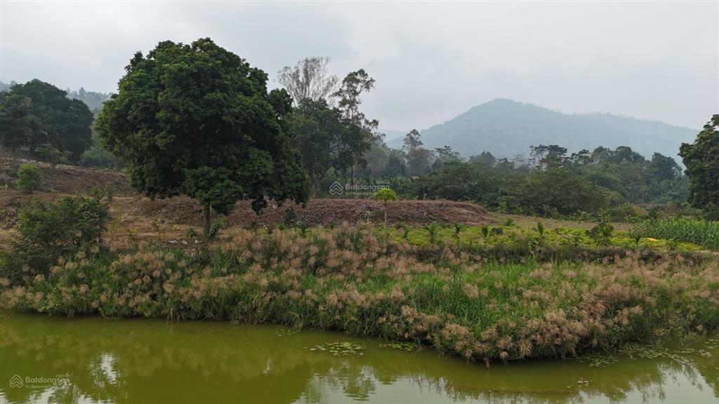 Siêu phẩm nghỉ dưỡng tại thôn núi bé, xã nam phương tiến, chương mỹ, hà nội