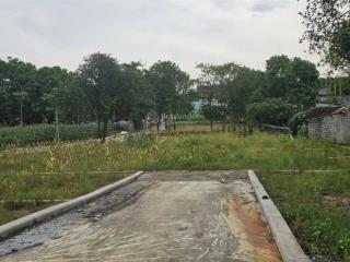 Bán đất tại xã nam phương tiến, 1,299 tỷ, 90 m2, giá ưu đãi