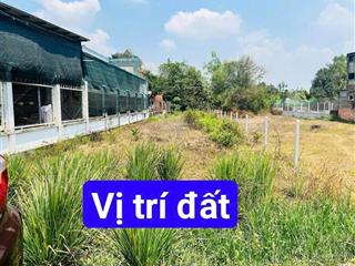 Đất hàng ngộp diện tích lớn giá tốt tại an hoà, trảng bàng