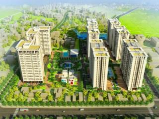 Cho thuê căn hộ 67m2 chung cư the vesta