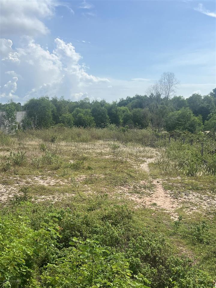 3,4ha thổ cư 2200m2 đất 2 mặt tiền trần quang diệu. quy hoạch đất ở. sát kđt 577 cách biển 400m