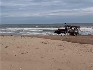 12,7ha đất mặt tiền biển cam bình, mặt tiền biển 290m. đất dân. mặt tiền đường nhựa 321m. giá tốt