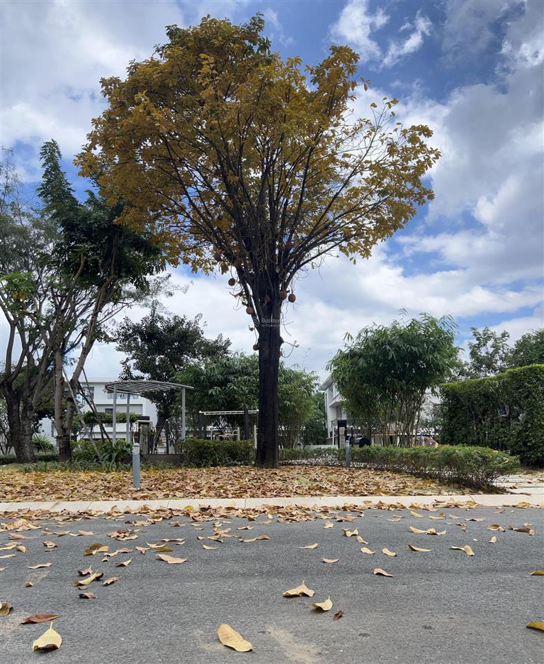 Biệt thự đơn lập phodong village 352m2 giá 31,5 tỷ. ngay công viên 2200m2.  0939 968 ***