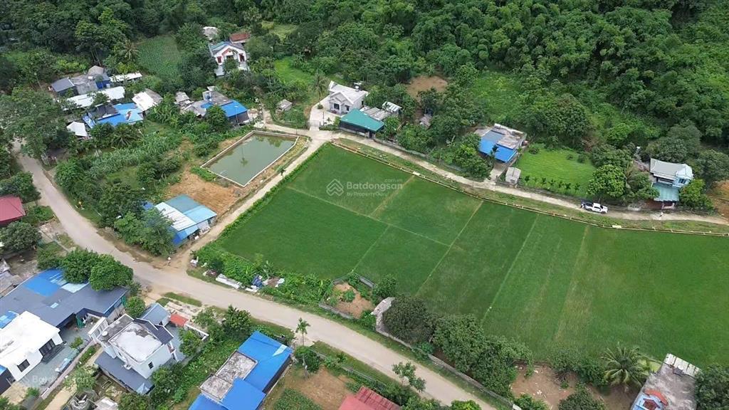 Nghỉ dưỡng an cư dạ ư tiếp chuyện. không khí trong lành yên tĩnh nghỉ dưỡng