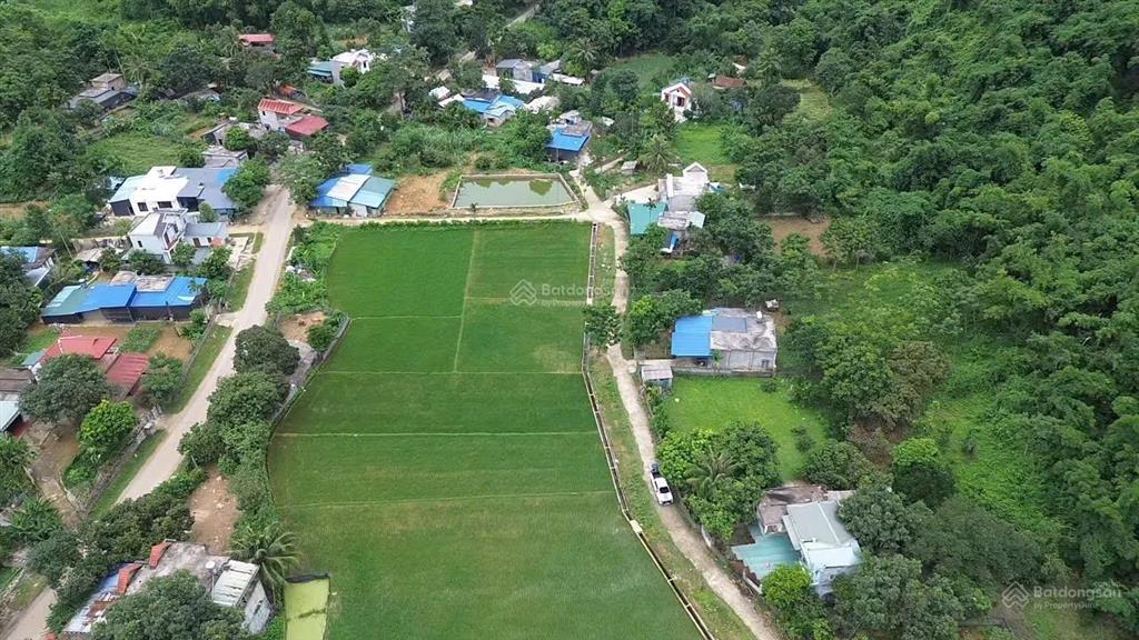 Nghỉ dưỡng an cư dạ ư tiếp chuyện. không khí trong lành yên tĩnh nghỉ dưỡng