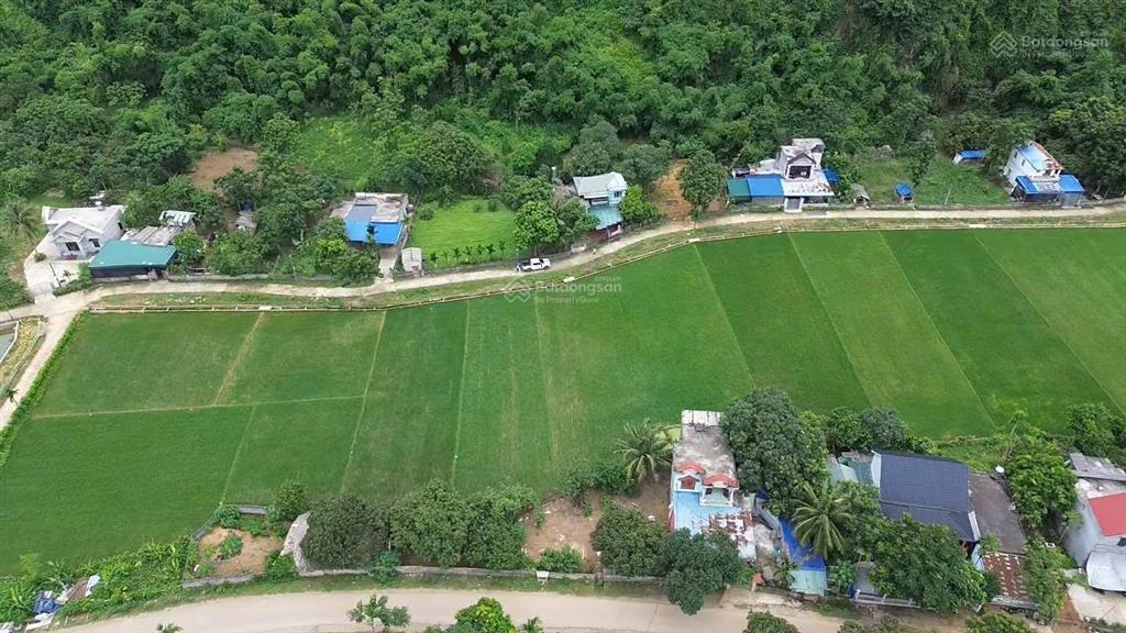 Nghỉ dưỡng an cư dạ ư tiếp chuyện. không khí trong lành yên tĩnh nghỉ dưỡng