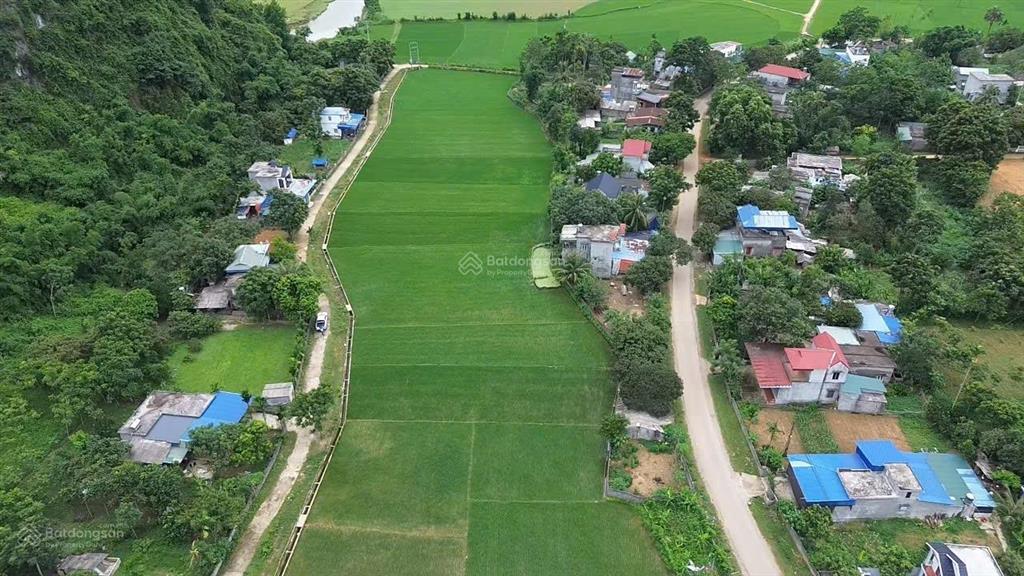 Nghỉ dưỡng an cư dạ ư tiếp chuyện. không khí trong lành yên tĩnh nghỉ dưỡng