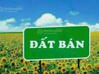 Chinh chủ ban đất tân thạnh đông, củ chi, dt 10x39m, giá bán 3 ty 950 triệu, chỉ 10 triệu/m2