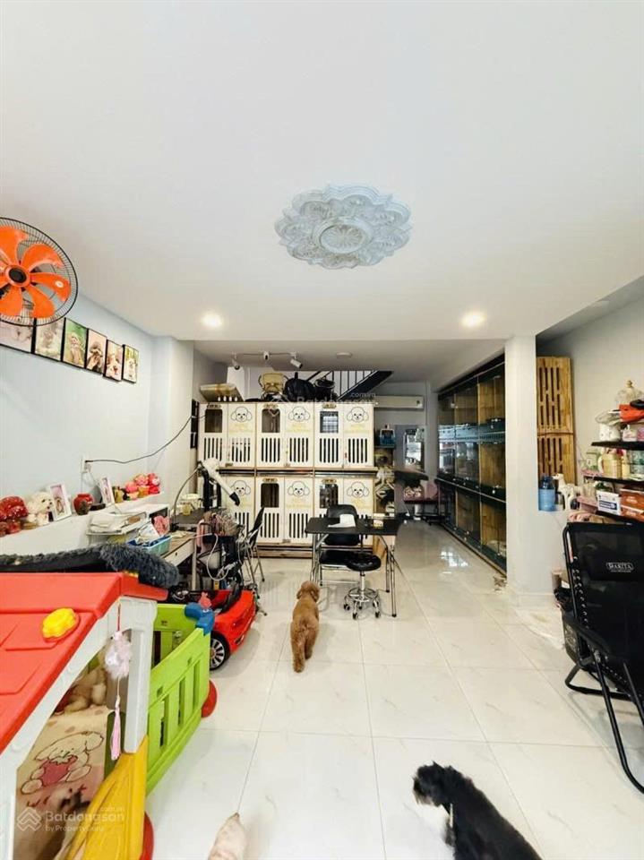 Lô góc hẻm ô tô lê thị bạch cát, quận 11, 4.8x13, cực ngon, chỉ nhỉnh 7 tỷ