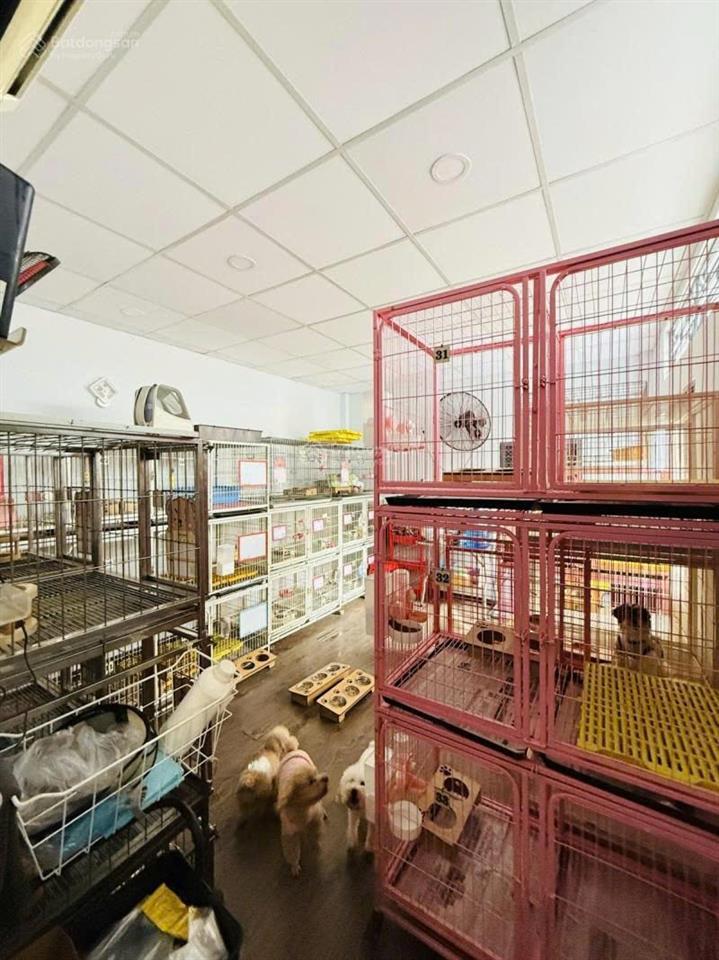 Lô góc hẻm ô tô lê thị bạch cát, quận 11, 4.8x13, cực ngon, chỉ nhỉnh 7 tỷ