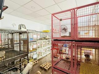 Lô góc hẻm ô tô lê thị bạch cát, quận 11, 4.8x13, cực ngon, chỉ nhỉnh 7 tỷ